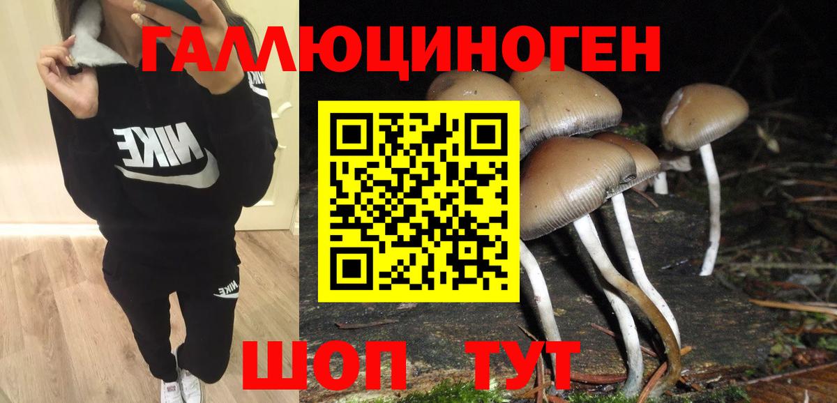 Галлюциногенные грибы Cubensis  Галлюциногенные грибы MAGIC MUSHROOMS  Вход с VPN  Волжск 